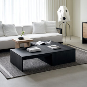 Multipurpose Coffee Table: Stylish Storage for Living Rooms